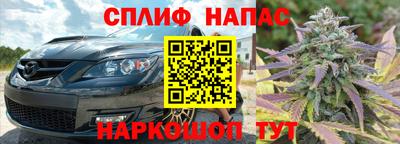 прущие грибы Балахна