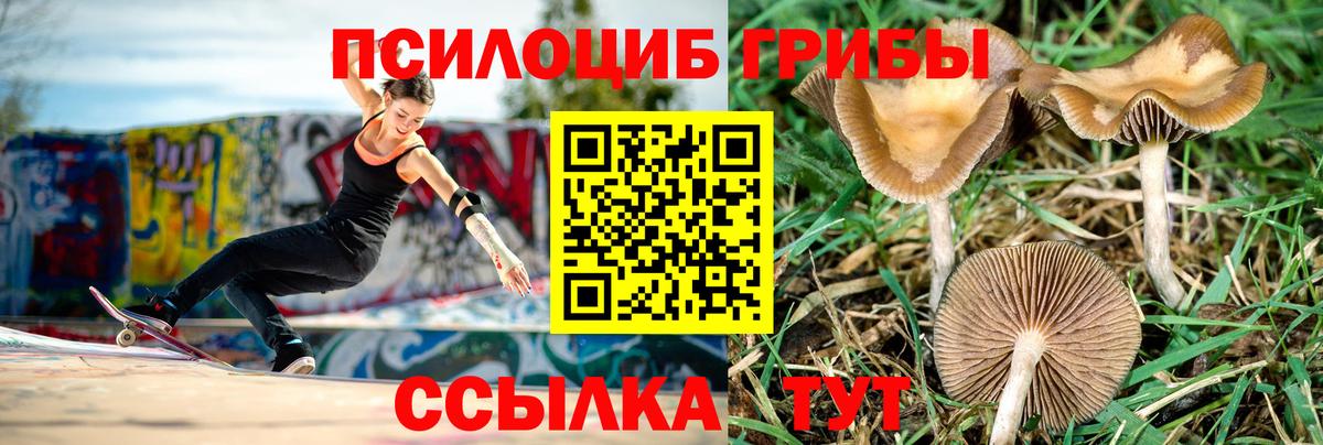 Галлюциногенные грибы Magic Shrooms  Вход с VPN  Гулькевичи  Галлюциногенные грибы MAGIC MUSHROOMS 